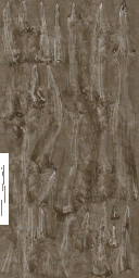 BD_M_1810_Cordyceps_a_l (2).png